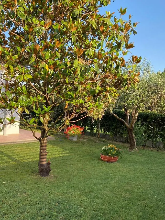 Il Trammino Apartment Pisa